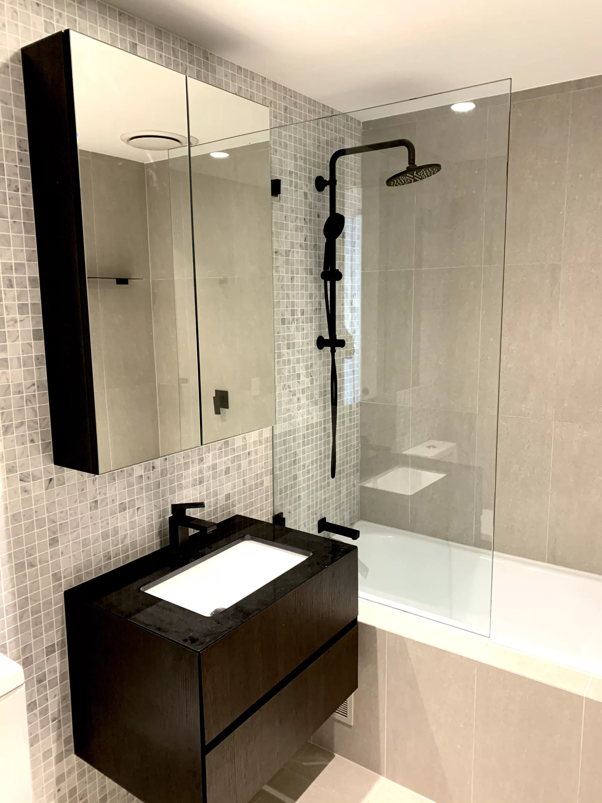 Bath fixed panel glass shower screen